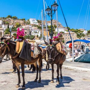 Viaje en velero Islas Gregas